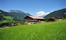 Gruenholz Sommer
