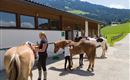 Haflingerhof_Dorfstrasse_54_Westendorf_07_2022_Pfe