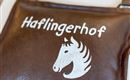 Haflingerhof_Dorfstrasse_54_Westendorf_07_2022_Ruh