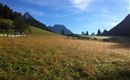 Hagenhof_Herbst
