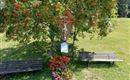 Hattenhof Schwoich Kreuz