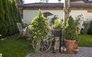 Haus Riedmann Blumen