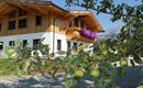 Haus Seitenansicht Sommer