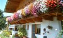 haus sommer