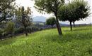 Hof Lettenbichl Sommer