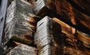 Holz by Florian Lustig (Purefilms)