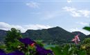 hote-seethaler.com-Bionest-Suedseite-12