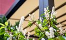 Hotel_Anfreas_Hofer_Georg_Pirmoser_Strasse_8_Kufst