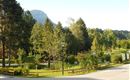 Hotel Schermer Bad Häring Aussicht zum Kurpark