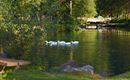 HotelZurSchanz_Garten_SchanzerTeich