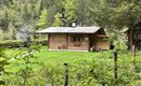 Hütte Waldzeit im Sommer