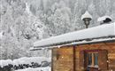 Hütte Waldzeit im Winter