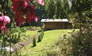 Hütte Waldzeit und Garten im Sommer