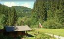 Hütte Waldzeit