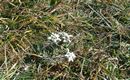IMG-20160927-WA0025