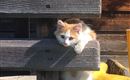 IMG-20180622-WA0002