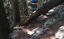 IMG-20180718-WA0010
