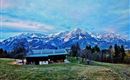IMG-20191114-WA0008