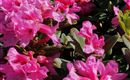 IMG_20200606_104558