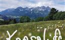 IMG_20200606_190720