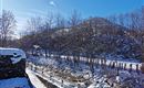IMG_20230130_122110[1]