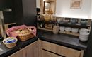 IMG_20230302_064438