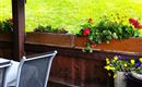 IMG_20250620_064324 - Kopie