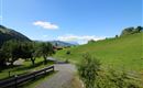 IMG_2281 (2)