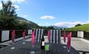 IMG_2288 (2)