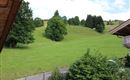 IMG_2326 (2)