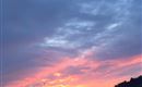 IMG_3159