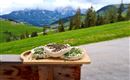 Käseherstellung auf unserer Alm