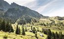 Kaisergebirge_Brentenjoch mit Almen