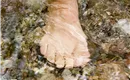Kneipp_Scheffau-(6)