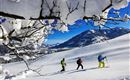 Kodahof-Itter-Schneeschuhwanderung-Winter