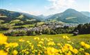 large-kirchberg-sommer-2019-c-tvb-kitzbuheler-alpe