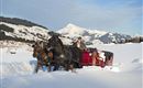 Pferdeschlittenfahrt_StefanEisend_TVB_Brixental_DS