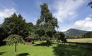 Rahmhof Sommer