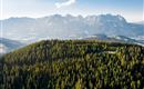 Rauher Kopf_Sommer_Kitzbüheler Alpen-Brixental_Mat