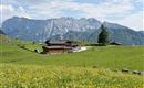 Ritzau Alm Ebbs Kaisertal im Sommer