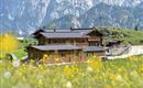 Ritzau Alm Ebbs Kaisertal Sommeransicht