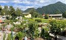 Rosengarten