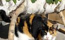 SAM_0354