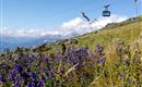 Seilbahn Kitzbüheler Horn