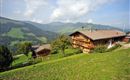 Siederlhof, Sommer Header