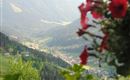 Sommer_Hopfgarten_Siedler_Landschaft (2)