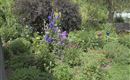 Staudengarten