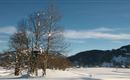 Stimmung Januar 2019