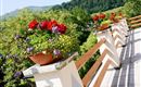 Terrasse mit Blumen