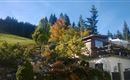 Terrasse mit Steingarten